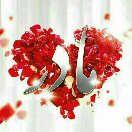 امیرشمسایی ای نازنینم مادر